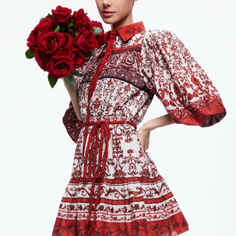 Alice + Olivia Tiffie Puff Sleeve Mini Dress - Picture 6 of 6